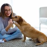 Keeping dogs at home from point of medically1