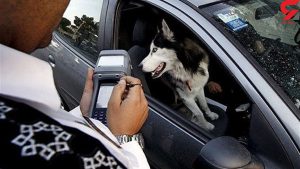 برخورد پلیس با سگ گردان ها