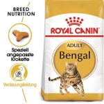غذای گربه بنگال