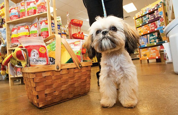 خرید غذای سگ از پت شاپ آنلاین